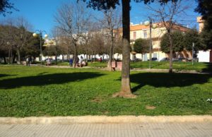 Giornata Mondiale della Memoria: l’Anpi pianta un albero in piazza Almirante