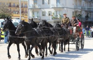 Ritorna la “Sfilata di carrozze e attacchi d’epoca”: evento organizzato dalla Pro Loco