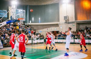 C Silver, c’è Trani per la Nuova Matteotti Corato  Sabato al PalaLosito arriva la Fortitudo