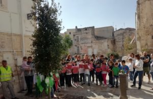 Un nuovo albero, una nuova speranza in largo Abazia (le foto)
