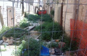 Difendiamo il futuro con i ragazzi della Madonna Greca