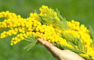 8 Marzo, le Donne Democratiche: “La nuova Resistenza deve farsi Donna”