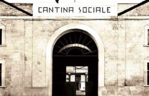 Corato – Cooperativa Terra Maiorum scende in campo accanto a medici e infermieri