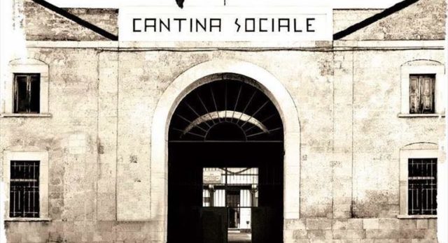 15965045_686288788201744_130982273883368897_n