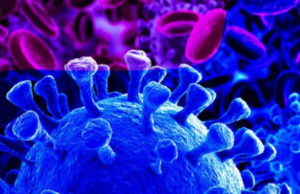 Covid-19 in Puglia: 2 casi nel barese, 1 nel brindisino e 4 nel foggiano