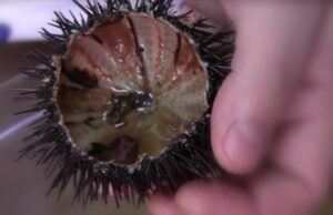 Jè belle e nan’abballe