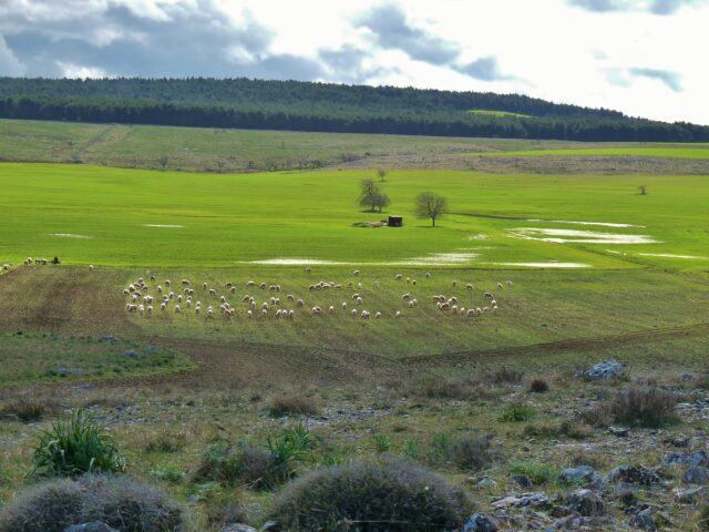 Dolina Tre Paduli_ph Giuseppe Carlucci-min