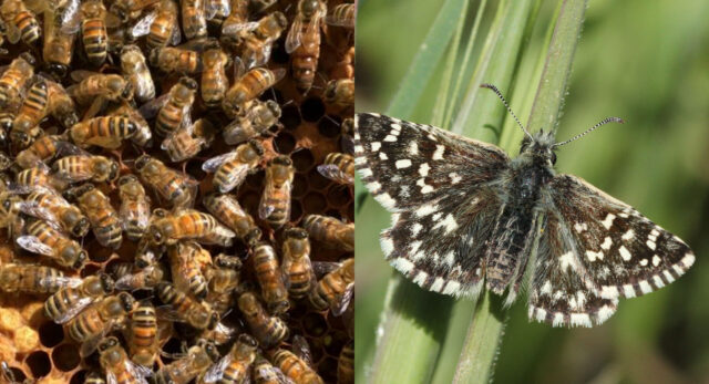 CollageMaker_20210412_083657495