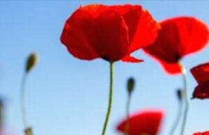 ANPI, 25 aprile: primo Festival della Liberazione