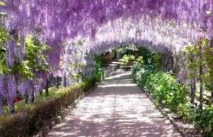 “Ville e Giardini del Rinascimento”: evento on-line dell’Università della Terza Età Edith Stein