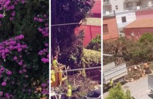 Corato si stinge di fucsia
