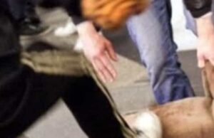 Omofobia, un giovane coratino e un suo amico vengono ferocemente picchiati a Padova: scambiati per una coppia gay