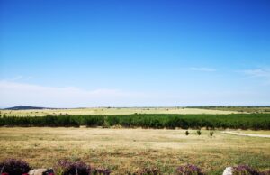 Week end con “Senti che Murgia”: 5 e 6 giugno nuovo appuntamento