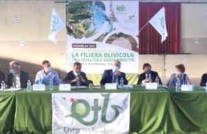 A Terra Maiorum olivicoltori e istituzioni per un rilancio del settore tra qualità e sostenibilità