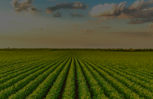 AgriCultura: un progetto di inserimento lavorativo per giovani a rischio esclusione sociale
