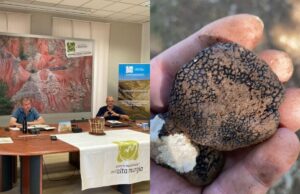 Tartufo, una risorsa per il Parco dell’Alta Murgia: c’è un progetto di ricerca per la valorizzazione