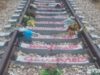 Komorebi 2026, gli appuntamenti per il decennale del disastro ferroviario del 12 luglio 2016