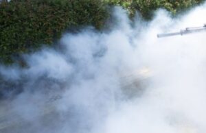 Disinfestazione in città, partono gli interventi: ecco il calendario