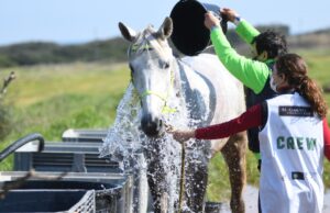 Endurance Road a Corato: il Campionato regionale fa tappa alla Scuderia Cantatore