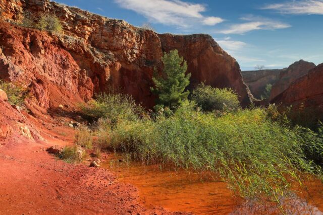 Parco nazionale dell'Alta Murgia