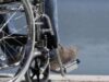 Pubblicato l’Avviso Pubblico per l’istituzione del “Garante dei diritti delle Persone con Disabilità”