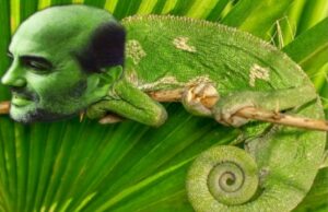 Corrado e il ruggito del camaleonte