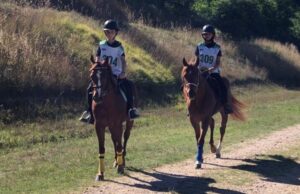 “Endurance Road Corato”: a Corato la prima tappa del campionato regionale endurance pony