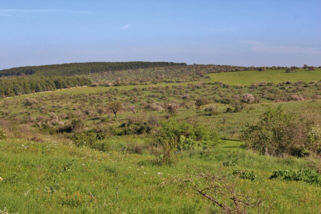 Parco Alta Murgia Bosco Cecibizzo Ph GiuseppeCarlucci