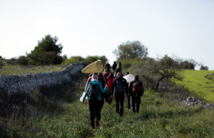 Anche nel Parco dell’Alta Murgia si testa la prima app che monitora gli insetti impollinatori