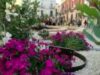 Torna in piazza Sedile “Maggio in fiore”