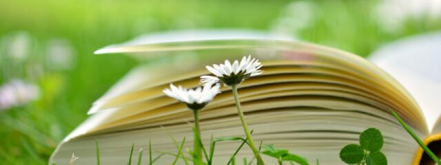 manifesto per la lettura