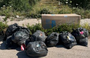 Corato, Contrada Boscarello trasformata in discarica. Abbandono rifiuti: una piaga senza fine
