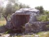 Alla scoperta del dolmen e della cultivar “La Coratina” con “La merenda nell’Oliveta”