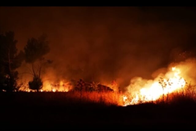 Lotta agli incendi Parco dell'Alta Murgia