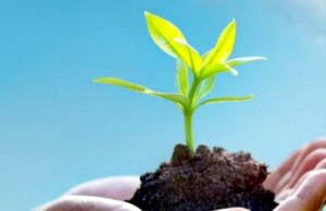 Giornata Mondiale dell’Ambiente, Unapol in prima linea: tutelare l’ambiente partendo da consumatori consapevoli