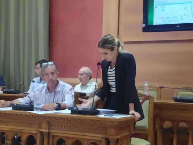Nadia D'Introno consiglio comunale