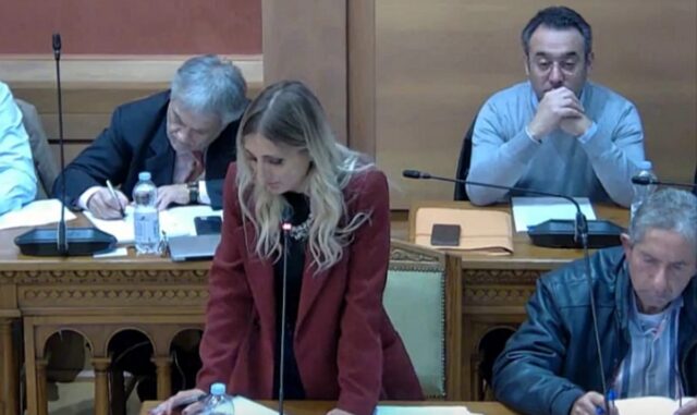 Nadia D'Introno consiglio comunale