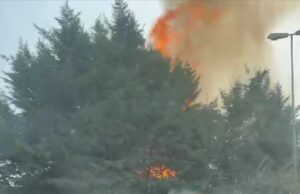 Ennesimo incendio al Diamond (Video)