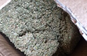 (Foto) Furto di cannabis, nascosta all’interno di un trullo