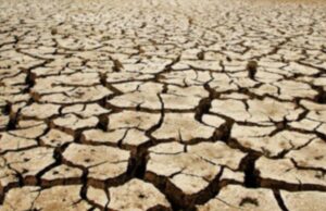 Domanda di aiuto per i danni da siccità 2022