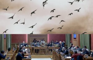 Corrado e i tordi di prima calata