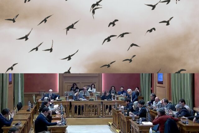 Corrado e i tordi di prima calata,