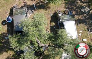 Ritrovate auto rubate nelle campagne tra Corato e Andria: scoperte dalle Guardie per l’Ambiente