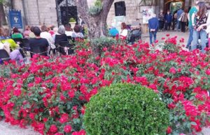 “Fiori in scena”: torna Maggio in fiore il 25 e il 26 maggio per la sua VI edizione