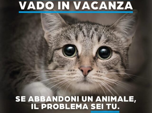 giornata nazionale ENPA contro l abbandono