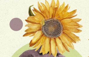 La rassegna “Serotonina-teatro ad alt(r)a comicità” volge verso la sua fase finale