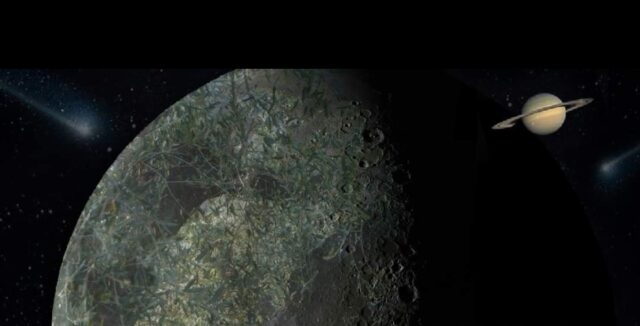 Esperienza magica tra gli ulivi pugliesi ed un passo dalle stelle