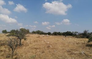 “Paesaggi. Luoghi di esistenze”: un evento di riflessione sul paesaggio che ci circonda