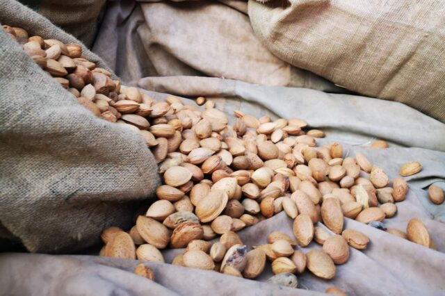 Festa della mandorla Corato