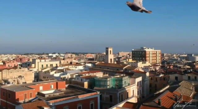 Corato